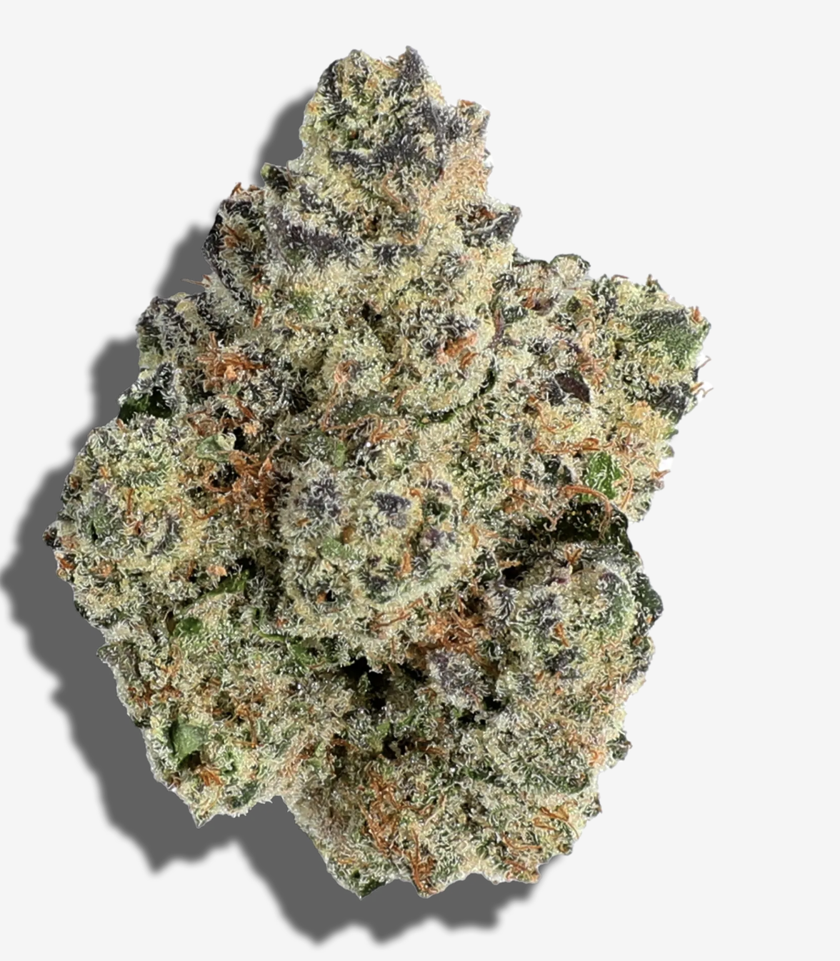 Apple Slushie - 14g