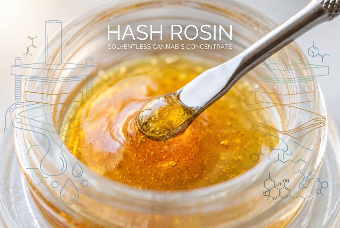 What Is Hash Rosin? A Beginner's Guide to Solventless Cannabis Concentrates